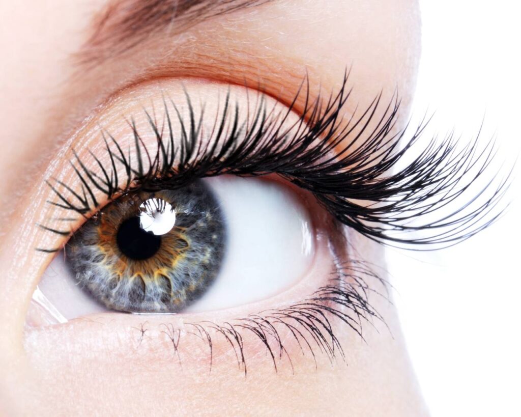 Hybrid Lash Infills (2 Weeks)