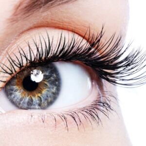 Hybrid Lash Infills (2 Weeks)